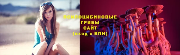тгк Алексеевка