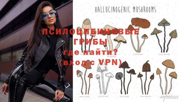 шишки Абдулино