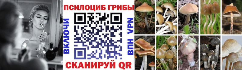 Псилоцибиновые грибы ЛСД Бобров